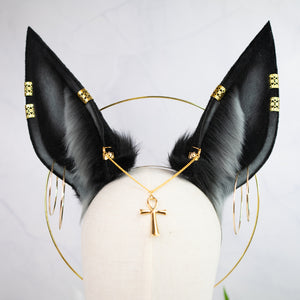 Anubis inspired ears