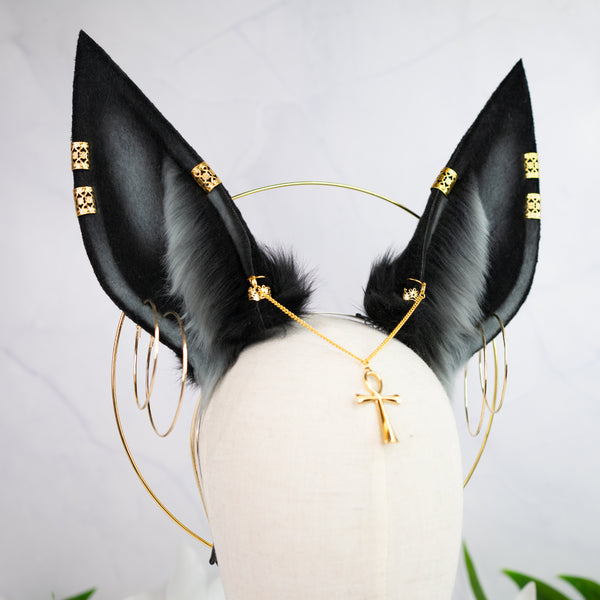 Anubis inspired ears