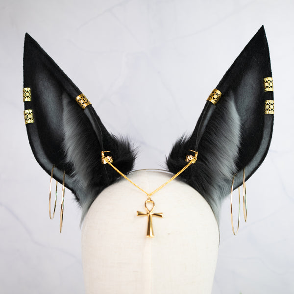 Anubis inspired ears