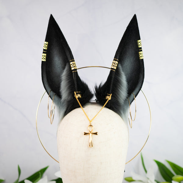 Anubis inspired ears