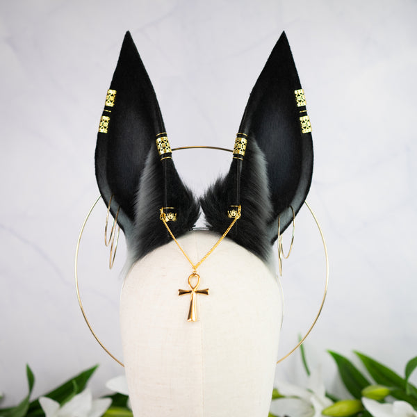 Anubis inspired ears