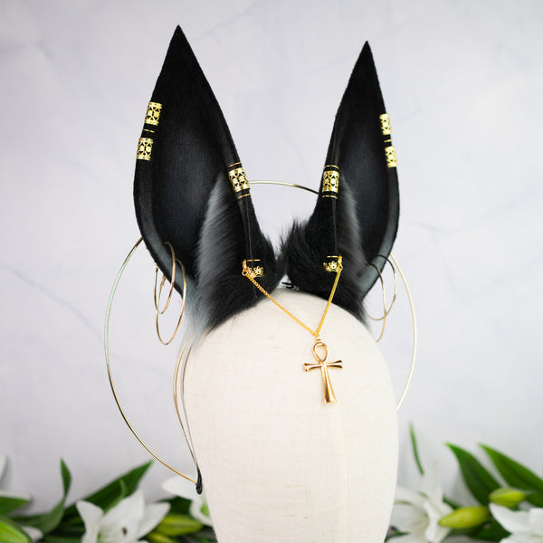 Anubis inspired ears