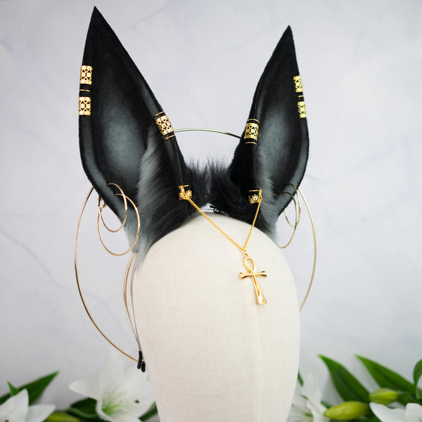 Anubis inspired ears
