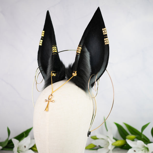 Anubis inspired ears
