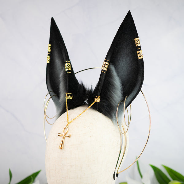 Anubis inspired ears
