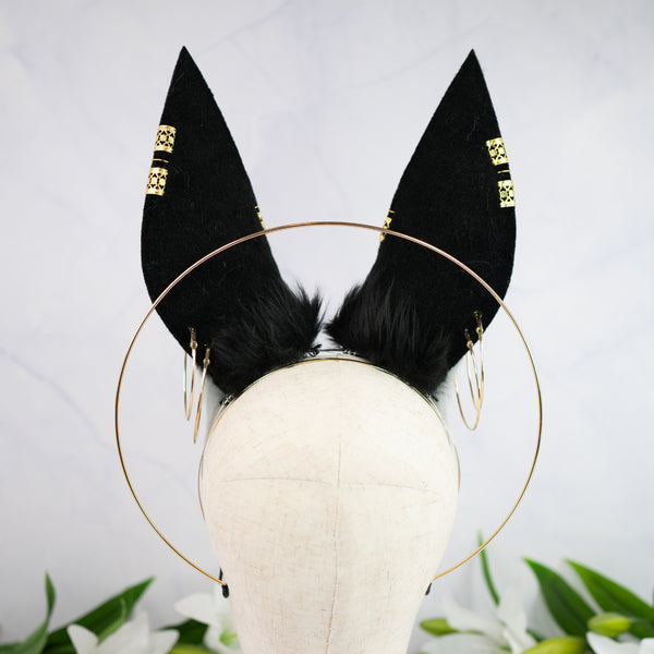 Anubis inspired ears