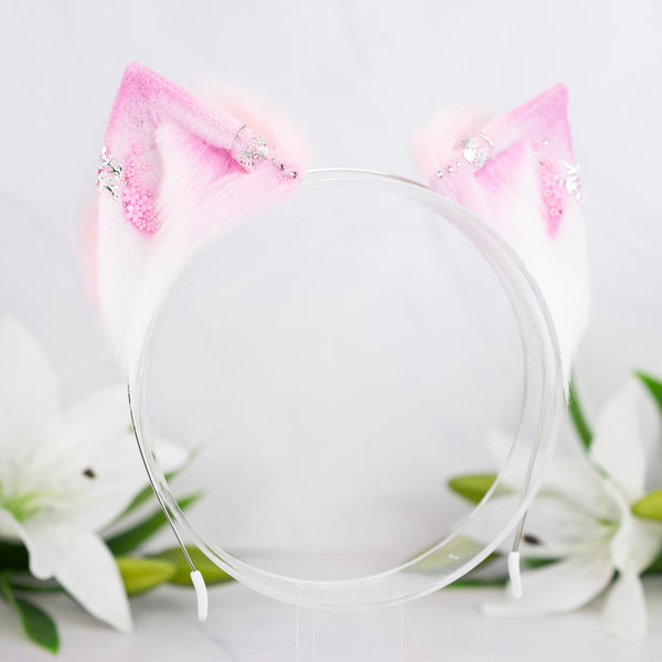 Blooming spring kitten ears