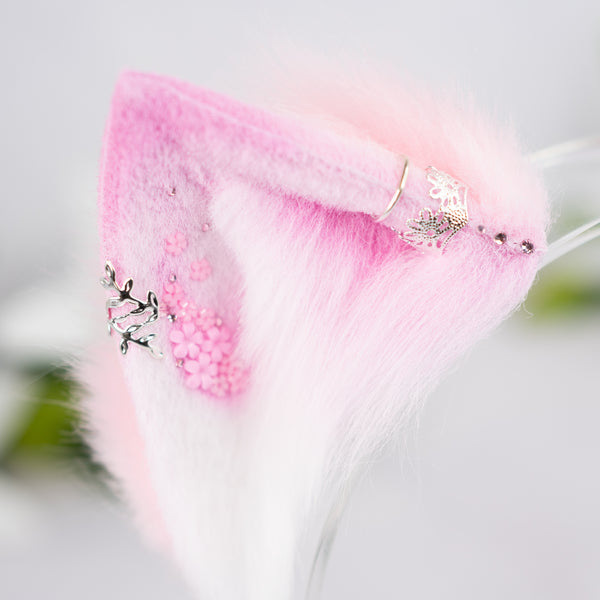 Blooming spring kitten ears