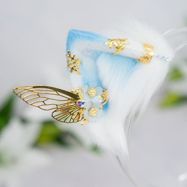Blue fairy kitten ears