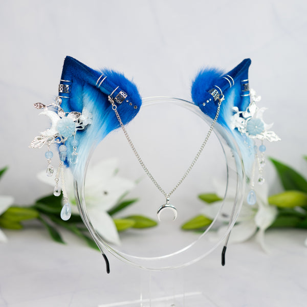 Blue Moon kitten ears