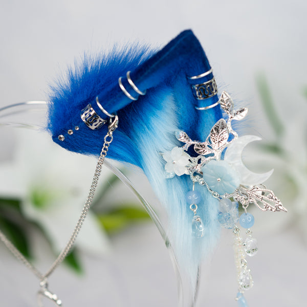 Blue Moon kitten ears