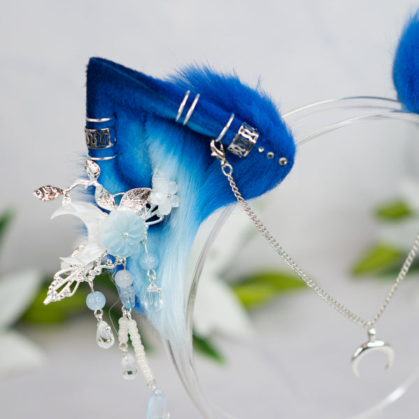 Blue Moon kitten ears