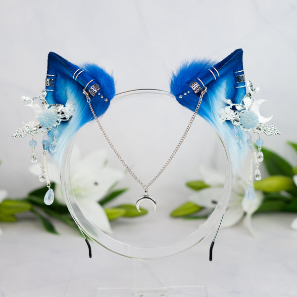 Blue Moon kitten ears