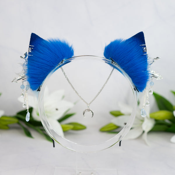 Blue Moon kitten ears