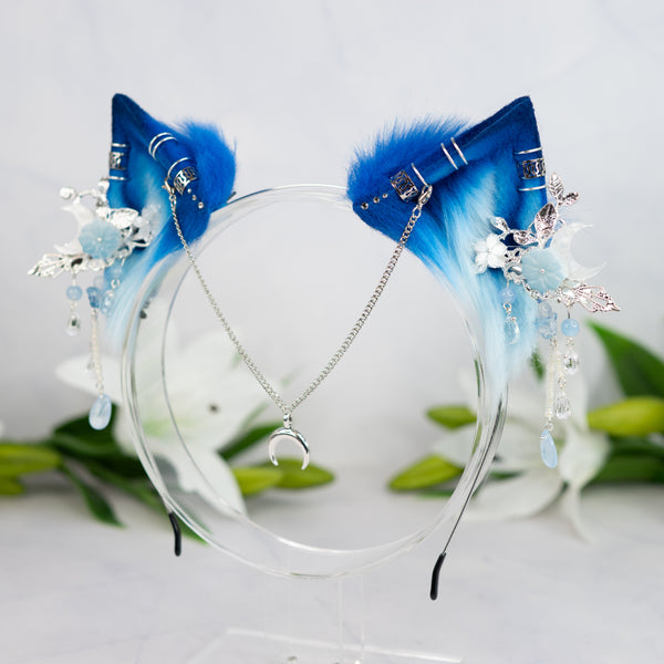 Blue Moon kitten ears