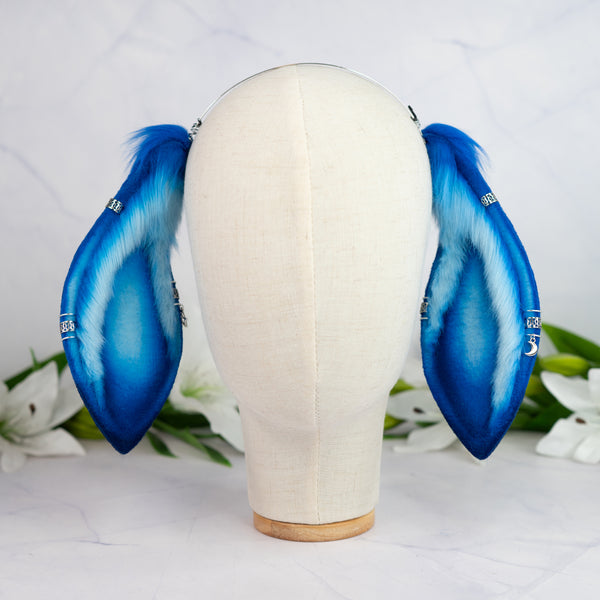 Blue Moon lop bunny ears