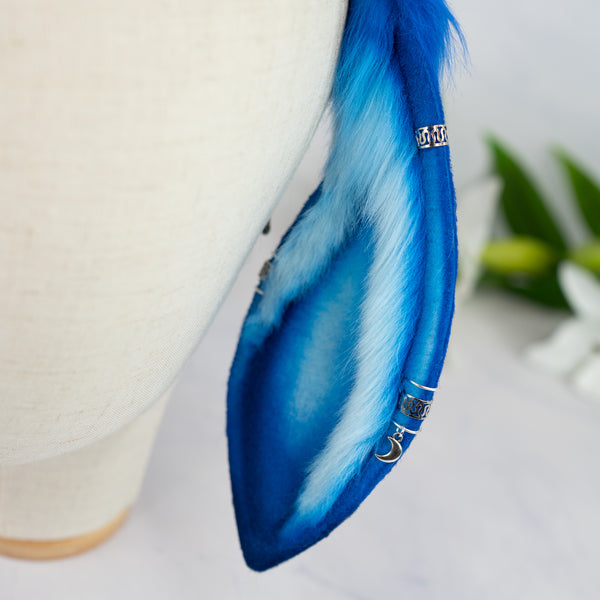 Blue Moon lop bunny ears