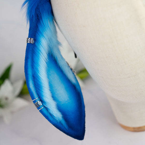 Blue Moon lop bunny ears