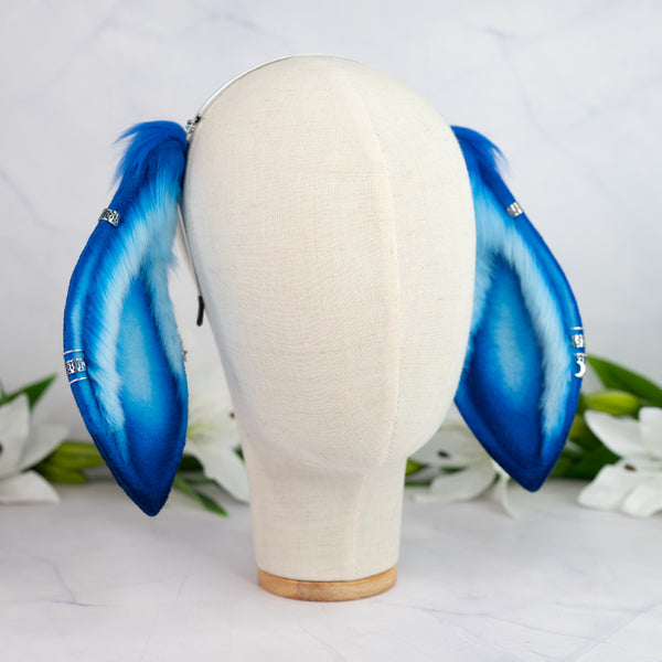 Blue Moon lop bunny ears