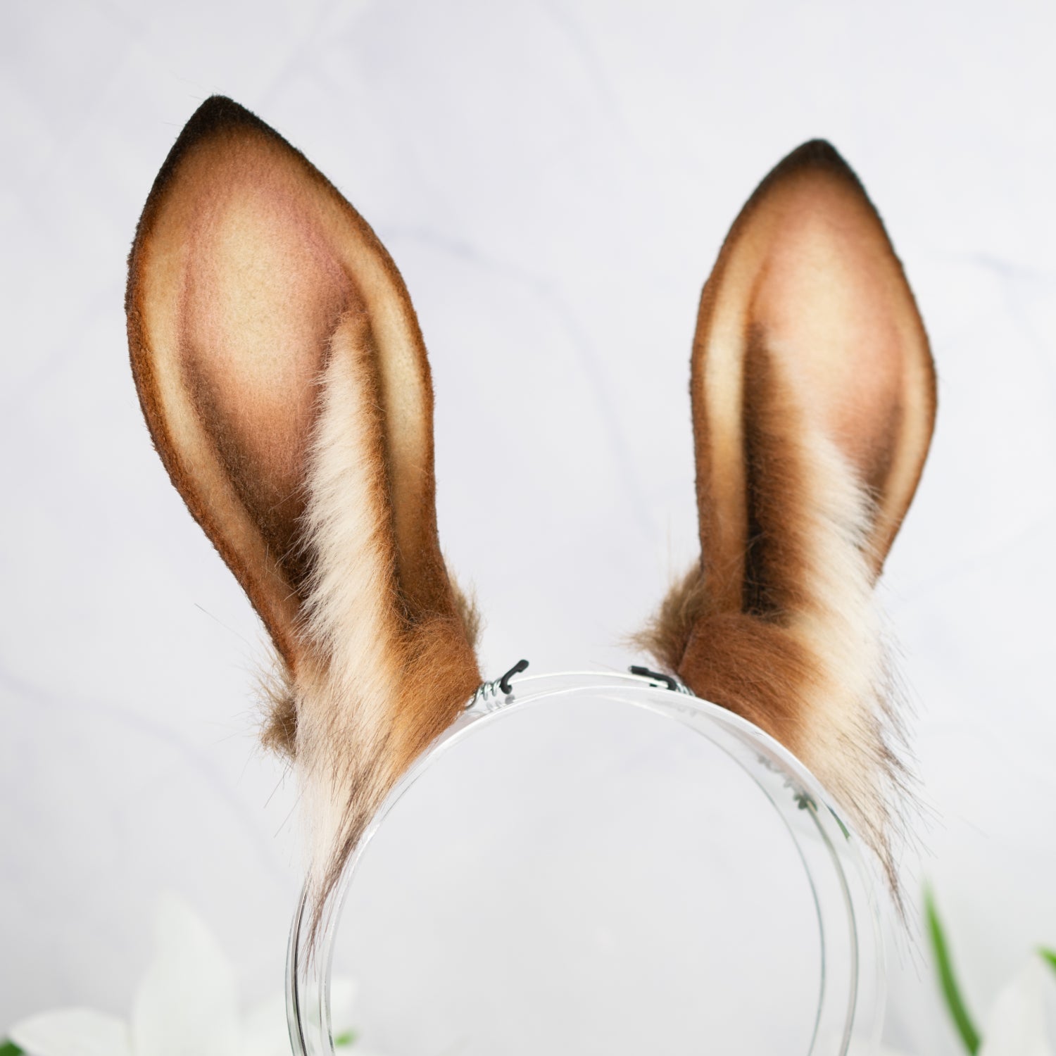 Reddish brown bunny ears