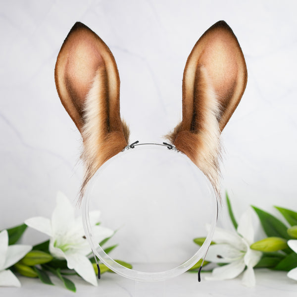 Reddish brown bunny ears
