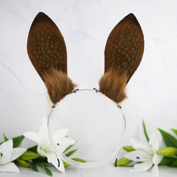 Reddish brown bunny ears