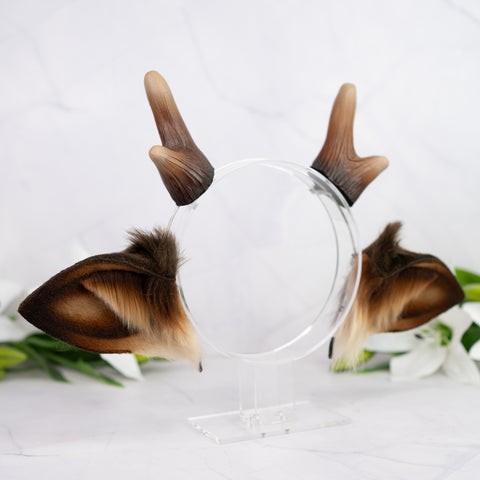 Brown deer ears with antlers