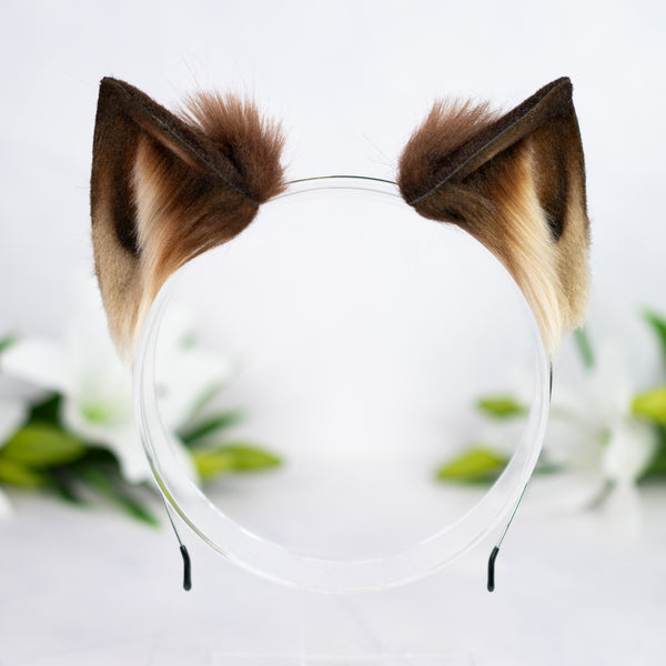 Brown kitten ears