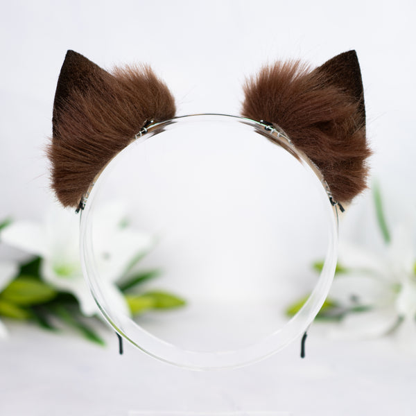 Brown kitten ears