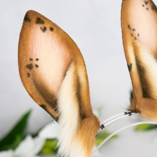 Chocolate Chip bunny ears