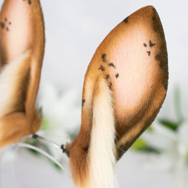 Chocolate Chip bunny ears