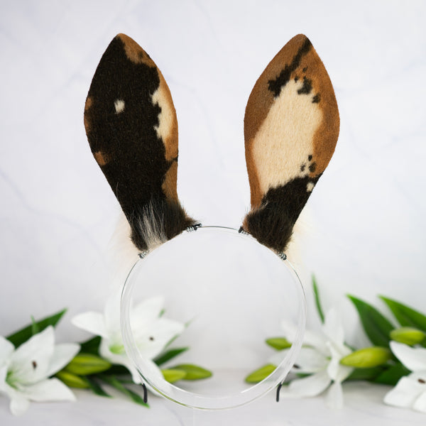 Chocolate Chip bunny ears