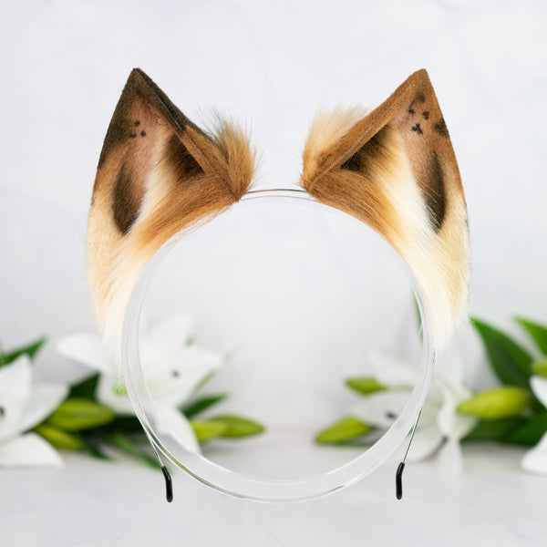 Chocolate Chip Cat ears