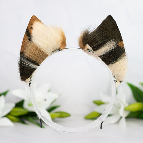 Chocolate Chip Cat ears