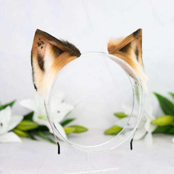 Chocolate Chip Kitten ears (1)