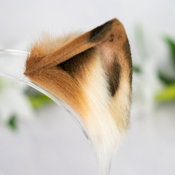 Chocolate Chip Kitten ears (1)