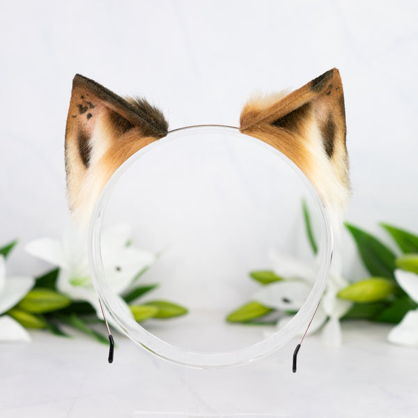 Chocolate Chip Kitten ears (1)