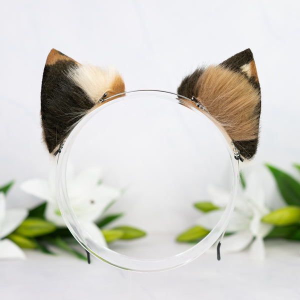 Chocolate Chip Kitten ears (1)