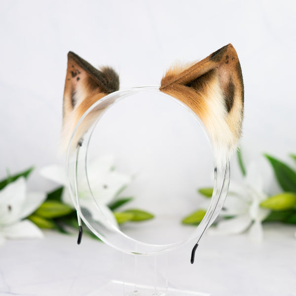 Chocolate Chip Kitten ears (1)