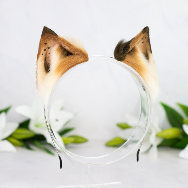 Chocolate Chip Kitten ears (2)