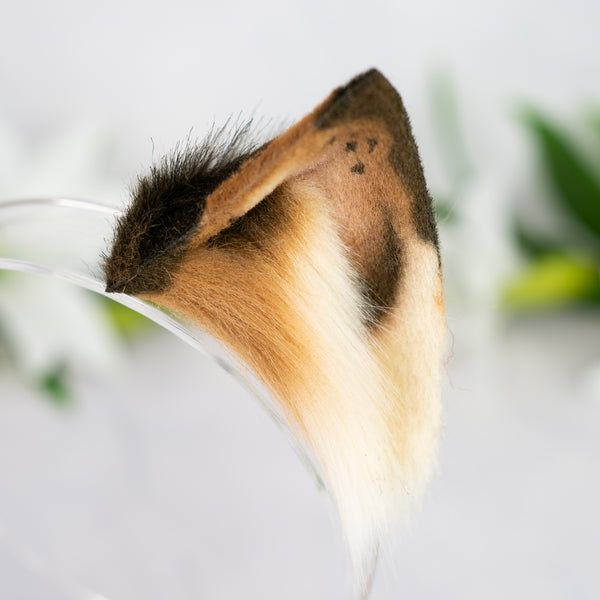 Chocolate Chip Kitten ears (2)