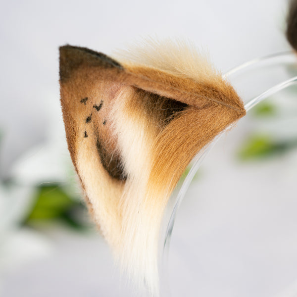 Chocolate Chip Kitten ears (2)