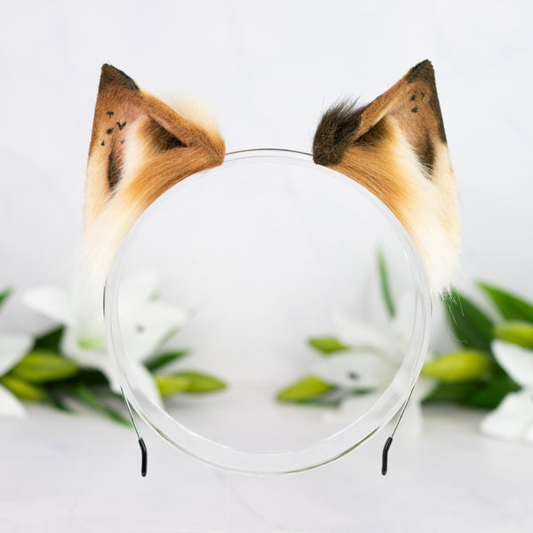 Chocolate Chip Kitten ears (2)