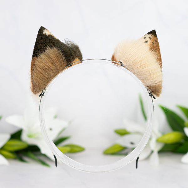 Chocolate Chip Kitten ears (2)