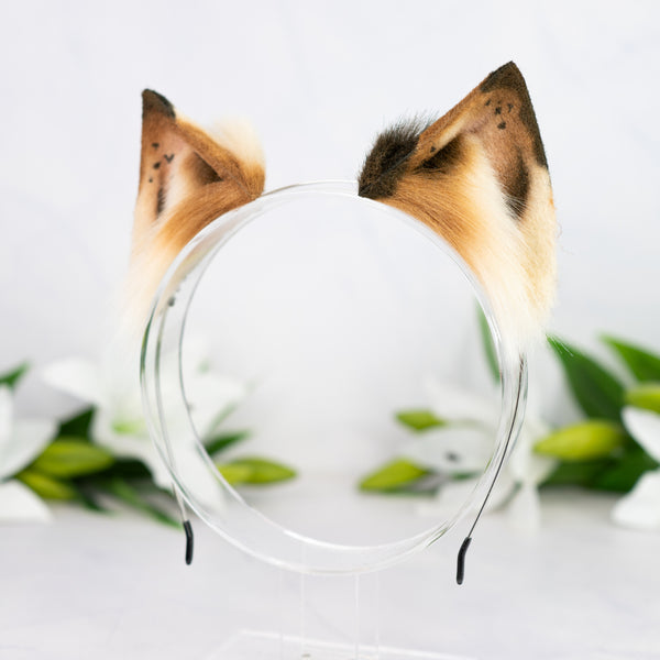 Chocolate Chip Kitten ears (2)