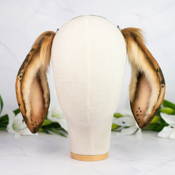 Chocolate Chip lop bunny ears