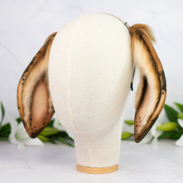 Chocolate Chip lop bunny ears