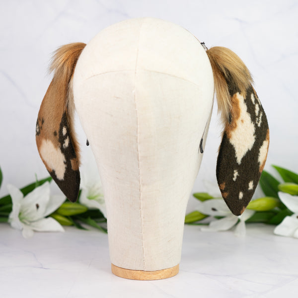 Chocolate Chip lop bunny ears