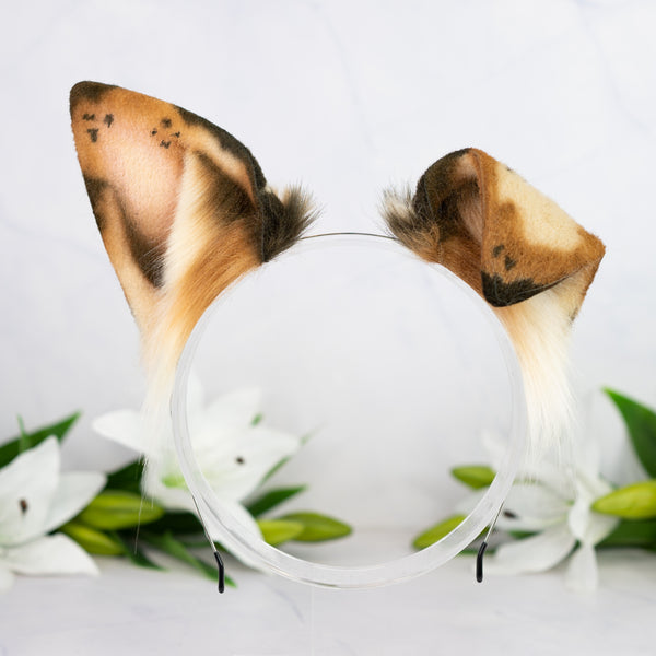 Chocolate Chip Puppy ears