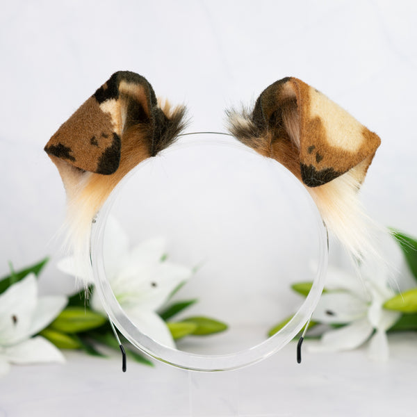 Chocolate Chip Puppy ears